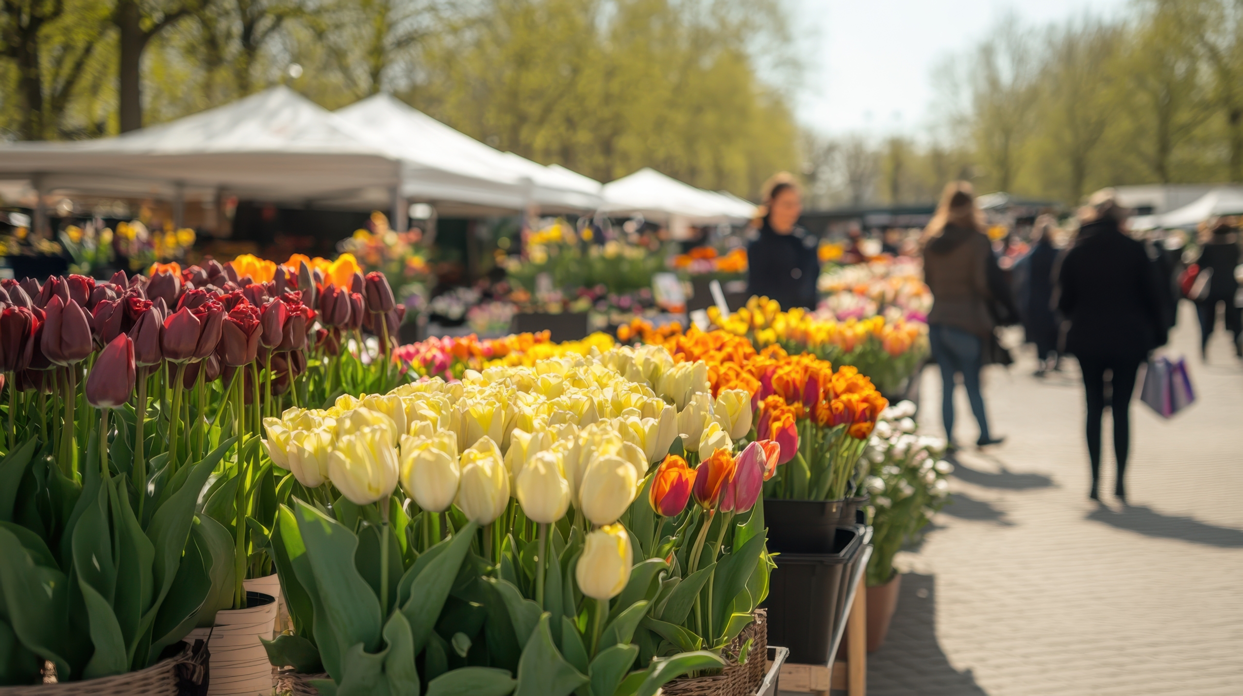 AdobeStock_1177407996