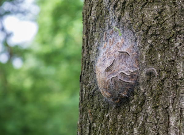 AdobeStock_208577270