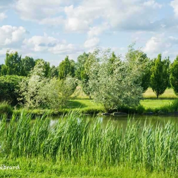 Parc le Cerey à Riom