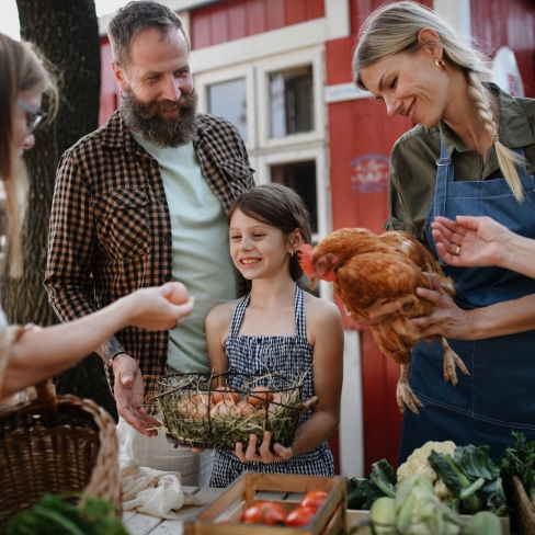 AdobeStock_488949075