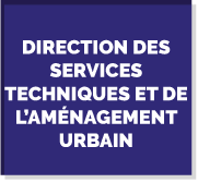 dir services techiques