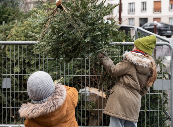 AdobeStock_1848271116