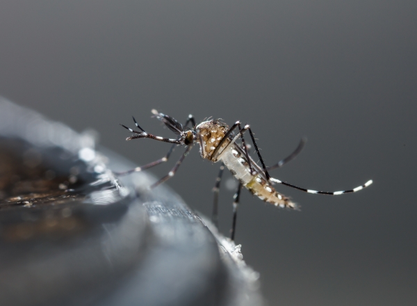 AdobeStock_110102150