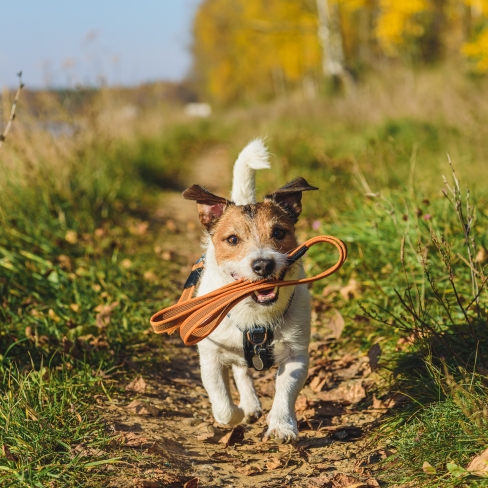 AdobeStock_640178460