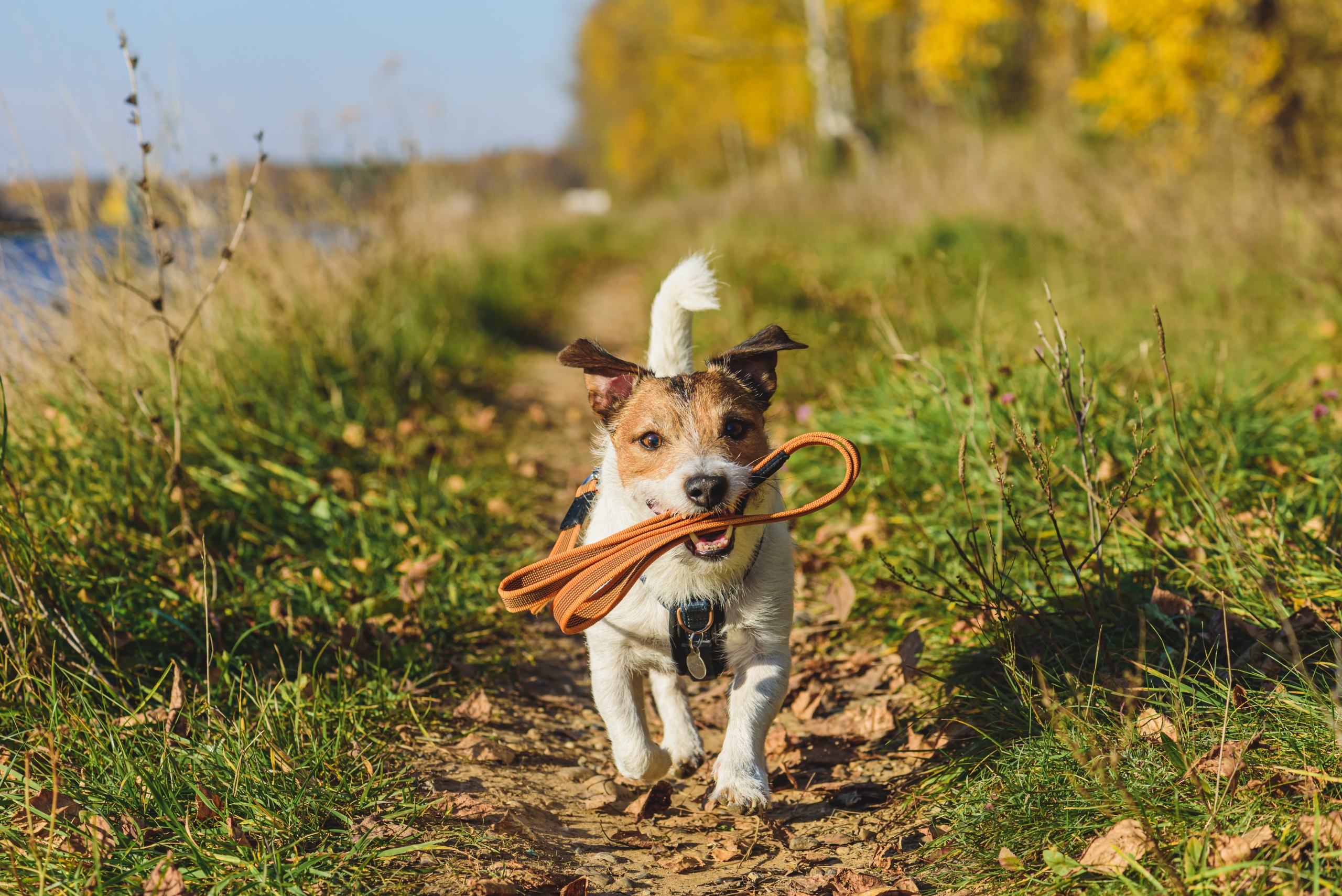 AdobeStock_640178460